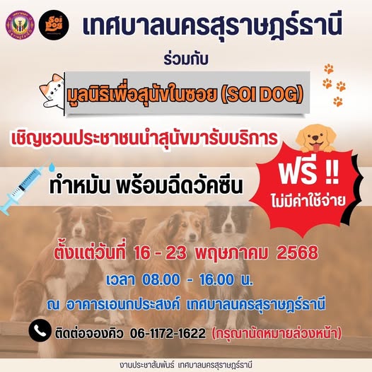 เทศบาลนครสุราษฎร์ธานี ร่วมกับ มูลนิธิสุนัขในซอย (SOI DOG) Image 1