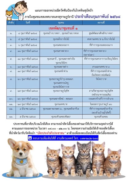 เทศบาลนครสุราษฎร์ธานี ออกหน่วยเคลื่อนที่ให้บริการฉีดวัคซีนป้ ... รูปภาพ 1
