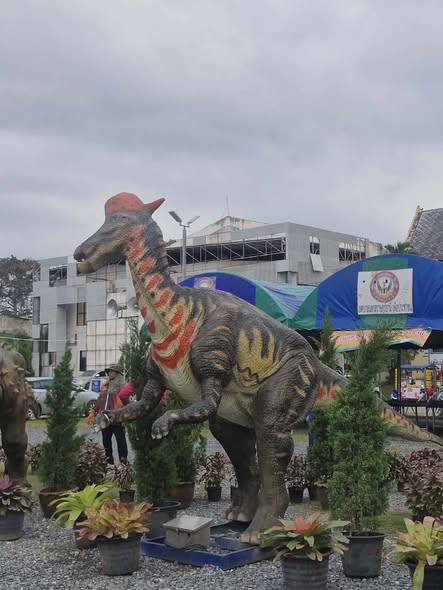 เตรียมพร้อมสำหรับเด็กๆ ทุกคนจ้า Image 1