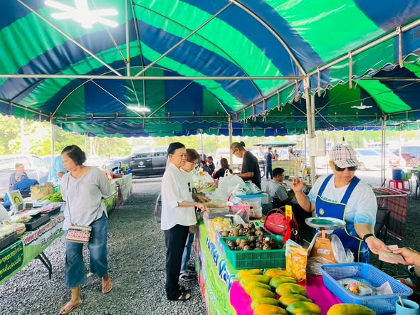 เชิญชวนมาเลือกซื้อสินค้าที่ "ตลาดนัดวันอังคาร เทศบาลนครสุราษ ... Image 1
