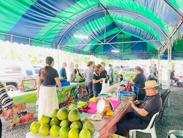 เชิญชวนเลือกซื้อสินค้า “ตลาดนัดวันอังคาร เทศบาลนครสุราษฎร์ธา ... รูปภาพ 1