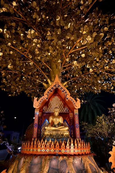 พิธีชักพุ่มเมือง สัญญาณการเริ่มประเพณีชักพุ่มผ้าป่าหน้าบ้าน  ... รูปภาพ 1