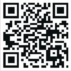 วารสารเทศบาล นครสุราษฎร์ธานี ฉบับที่ 244 ประจำเดือนมิถุนายน  ... รูปภาพ 2