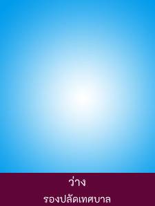 รองปลัดเทศบาล รูปภาพ 1